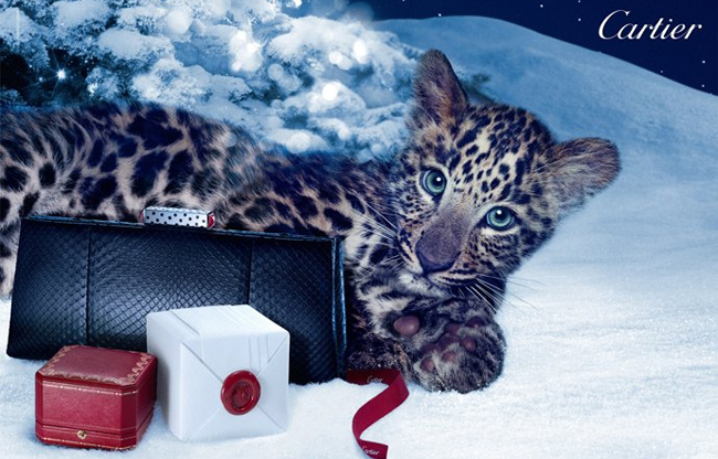 Cartier – świąteczna kampania reklamowa